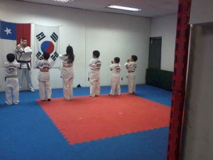 taekwondo_ata_nunoa_santiago_chile    