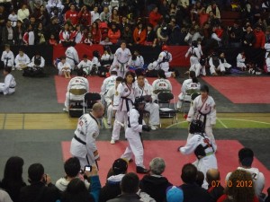 taekwondo_ata_nunoa_santiago_chile10    