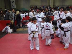 taekwondo_ata_nunoa_santiago_chile12    